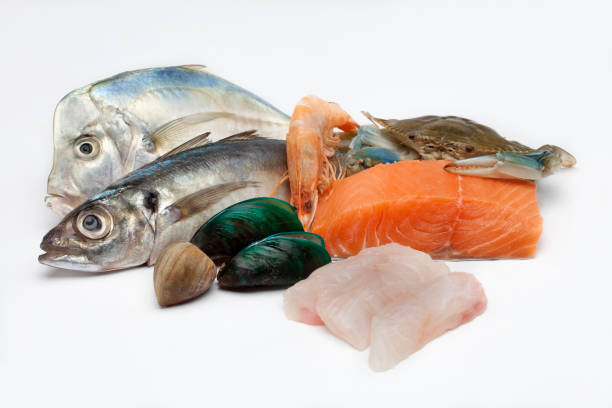 Top 6 Seafood Suppliers in Indonesia in Quarter 3 of 2025