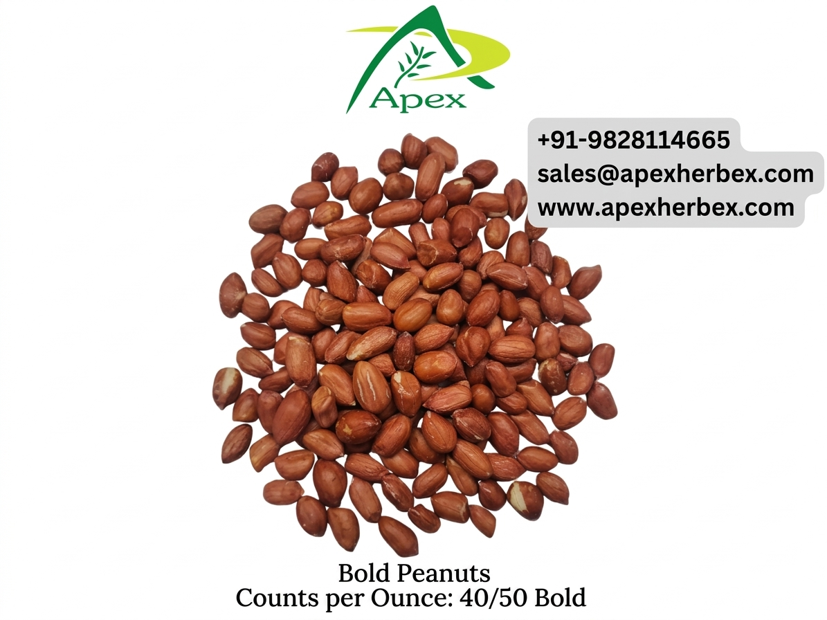 Bold Peanut 4050, Bold Peanut 40 50,Peanut, Peanuts, Arachis hypogaea, Bold Peanuts Kernels, Bold Peanut, Indian Bold Peanut, Indian Bold Peanuts, Peanuts Kernels, Peanut With Shell, Peanuts,Indian Peanut, Bold Peanut Supplier From India.