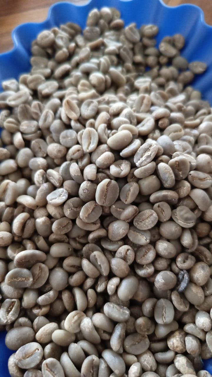 Discover the Top 10 Coffee Suppliers in Indonesia - 1