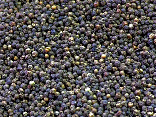 Top 8 Pepper suppliers in India: Capabilities & Buyer Fit - 6