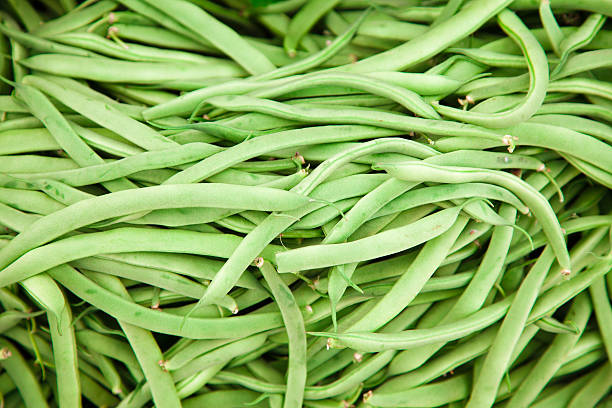 Top 7 Beans Suppliers in Egypt in Year 2025: Navigating the Market Amid Broader Agricultural Shifts