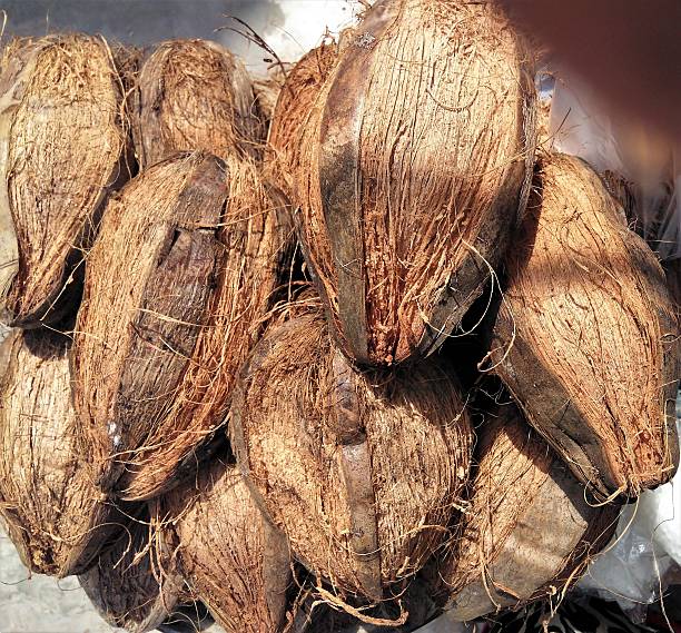 Coconut in Thailand: Top 4 Coconut Suppliers in Thailand in Week 14 of 2025