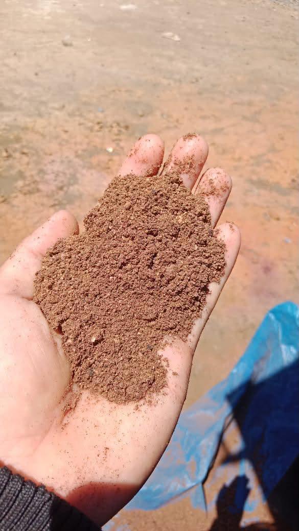 Palm Kernel Expeller