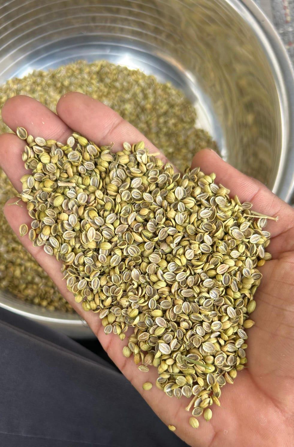 Coriander Lower Grade