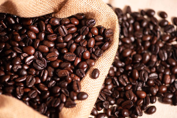 Top 8 Coffee Bean Suppliers in France in July 2025: A Deep Look into a Rapidly Shifting Market