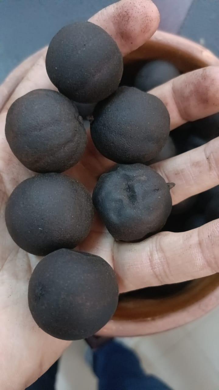 Black lemon