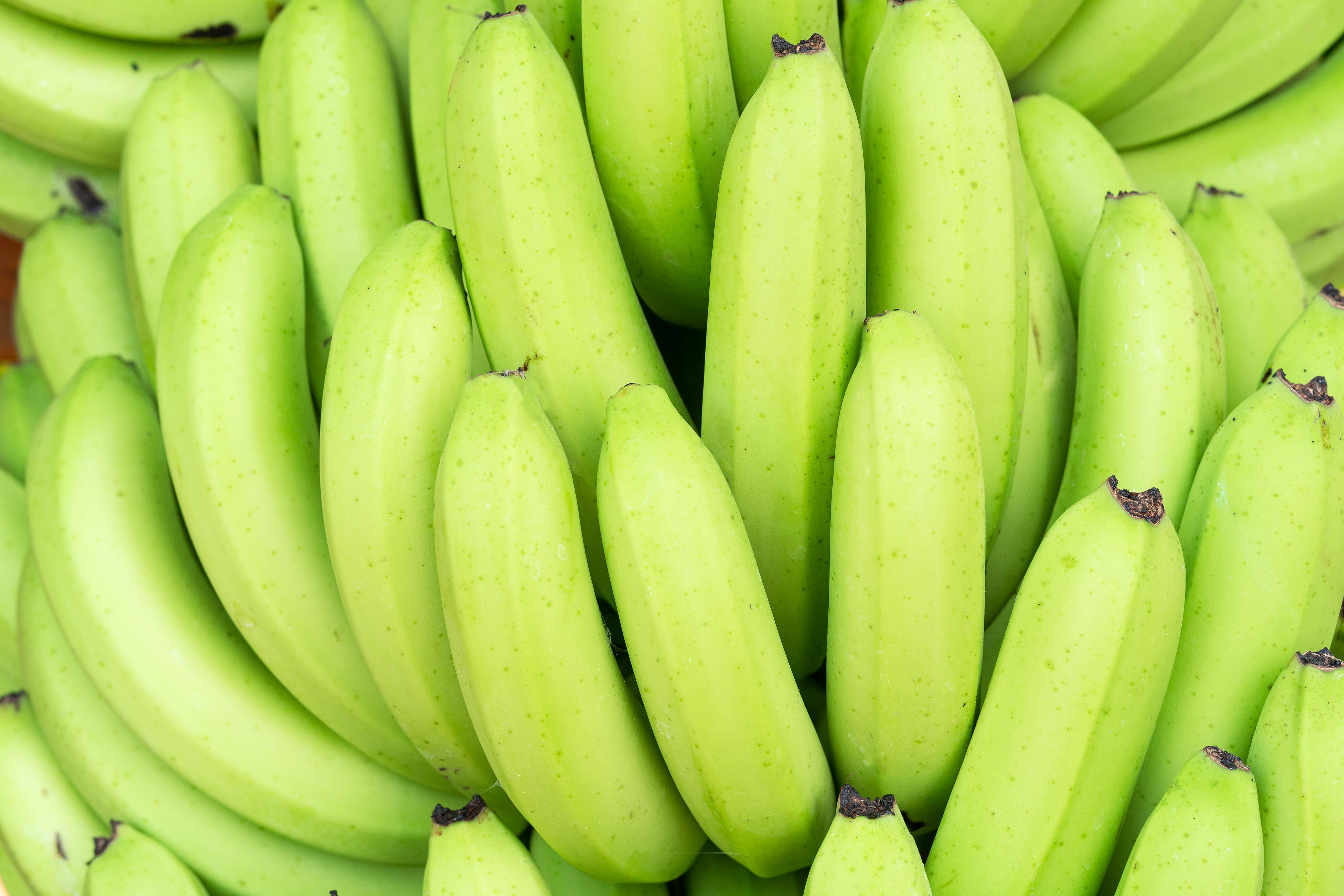 Cavendish Banana Place of Origin Viet Origin Vietnam Features Organic