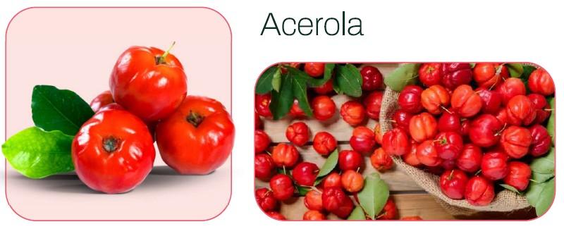 Frozen Acerola Pulp