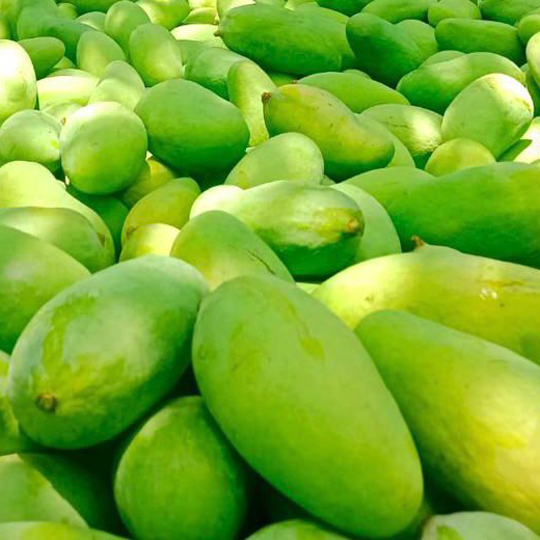 Bulk Chaunsa Fresh Fruit Mango from Pakistan - High Quality and Delicious