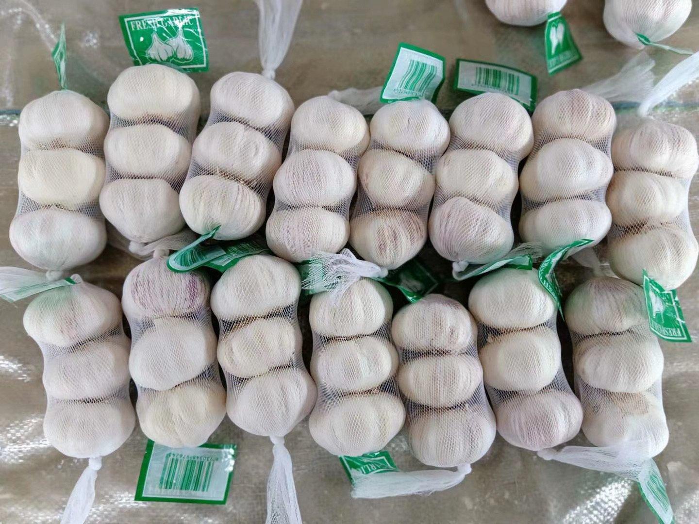 Fresh Garlic Basket