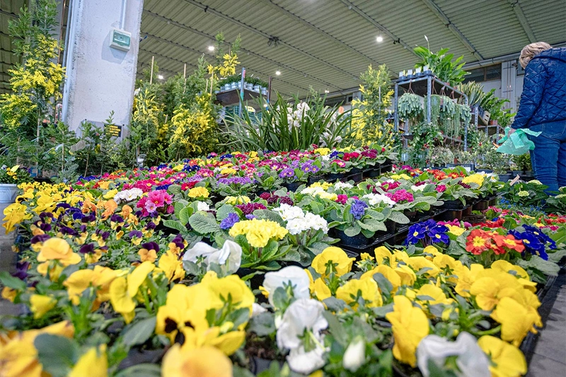 Discover Ortogiardino: B2B Event Guide - 1
