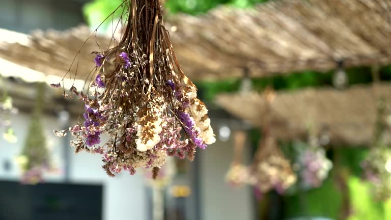Top 10 Dried Flowers Suppliers in Sri Lanka in Quarter 3 of 2025