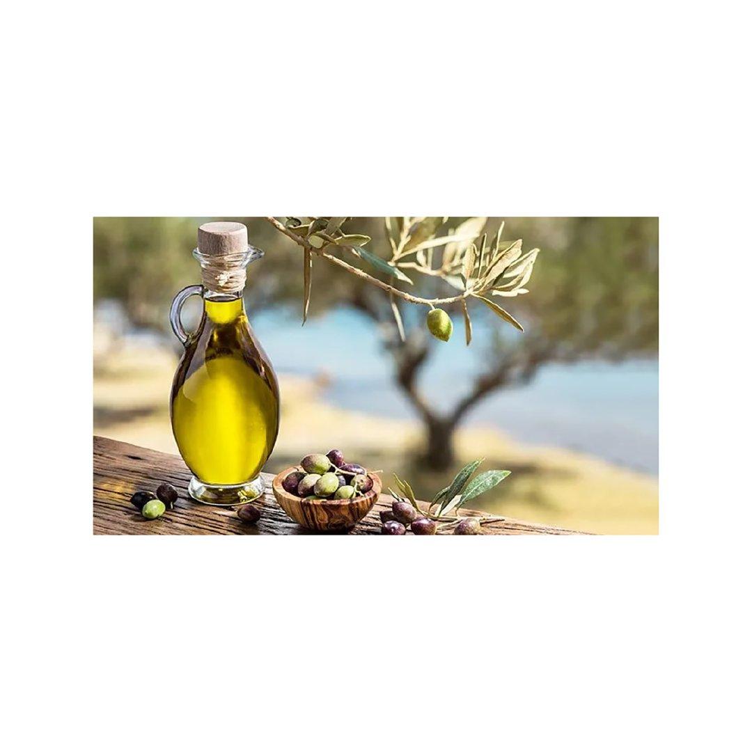 High Quality Olive Oil Wholesale Bulk Trade Premium Export Quality