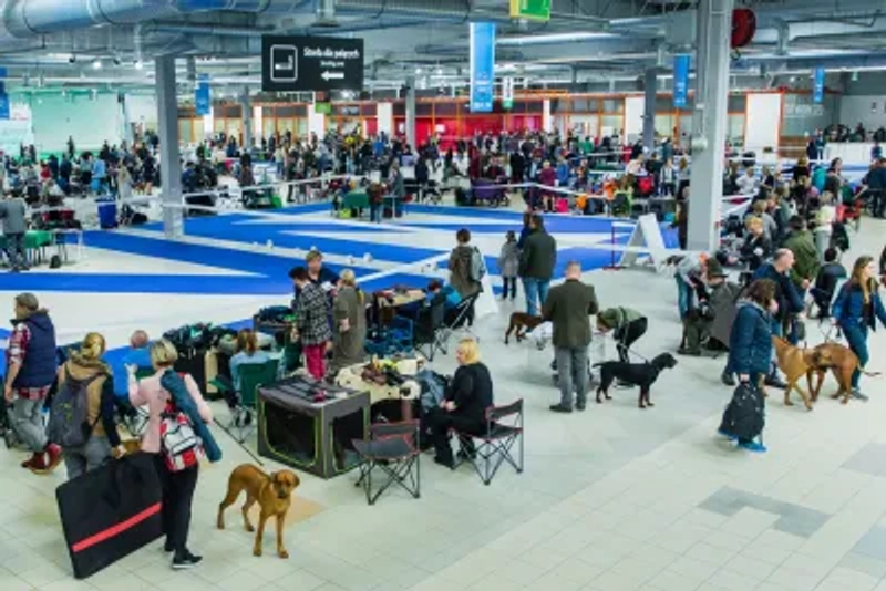 Animals and Veterinary Days Revealed: B2B Opportunity - 1
