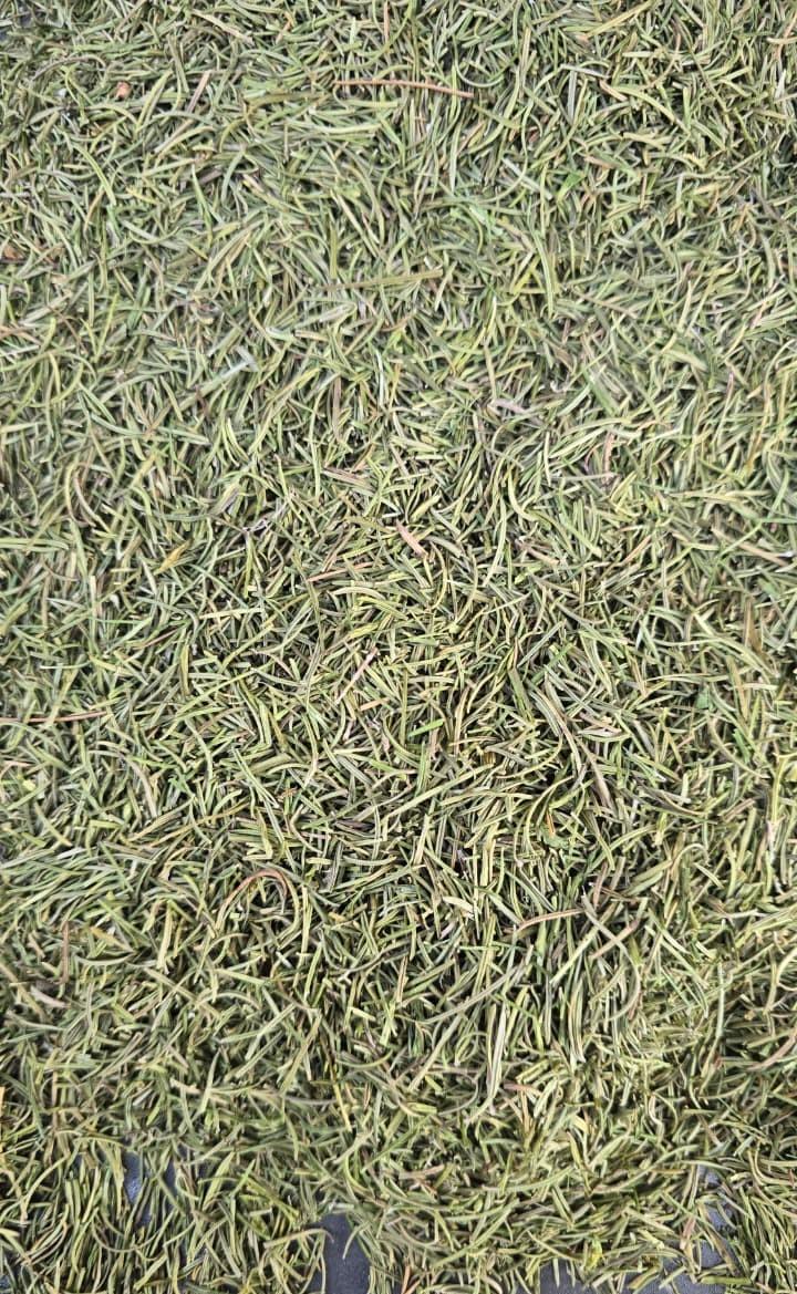 Rosemary Leaves