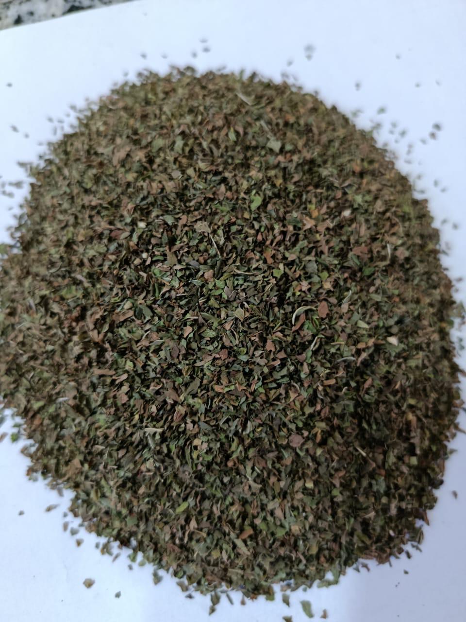 Premium Dried Mint from Egypt | Bulk Supply | Export Qulity 