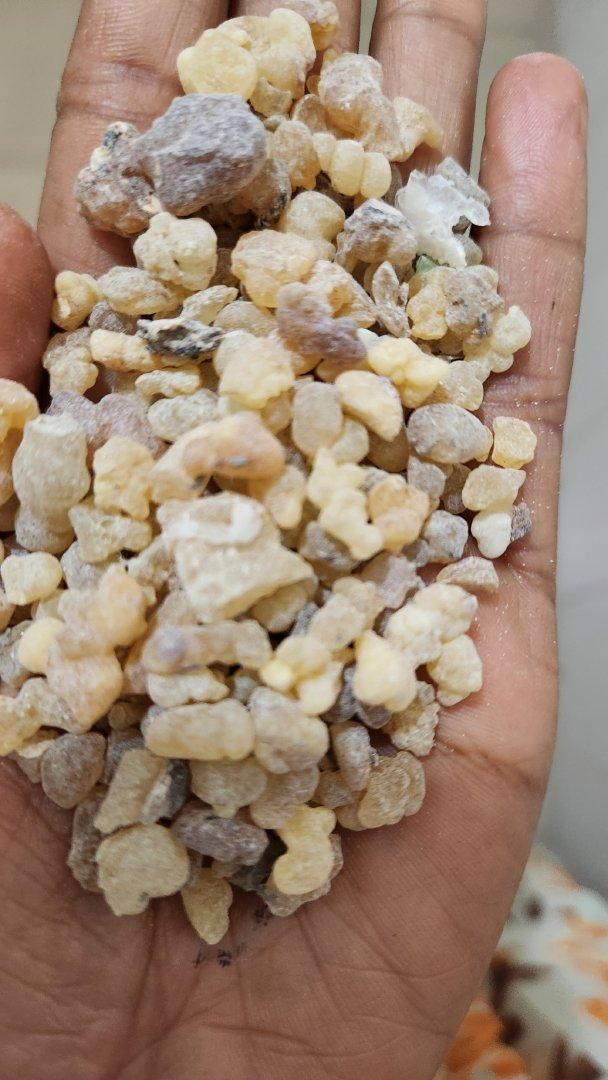 Arebica Olibanum Gum