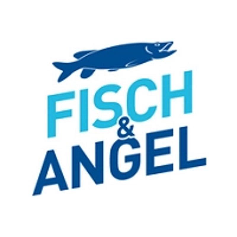 FISCH & ANGEL Revealed: B2B Opportunity