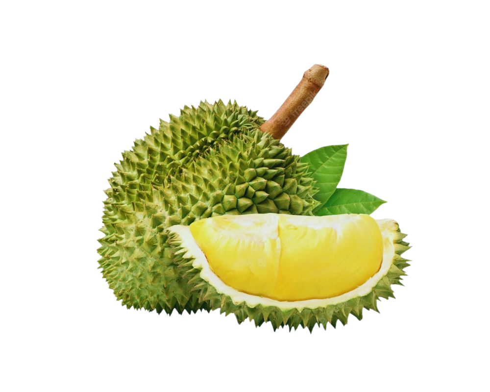 Fresh Durian Mongthong Aroma Strong Texture Creamy Size Whole Fruit Place of Origin Viet Nam Color Golden Yellow Flesh Grade A Weight 1.9-5.2 Kgs