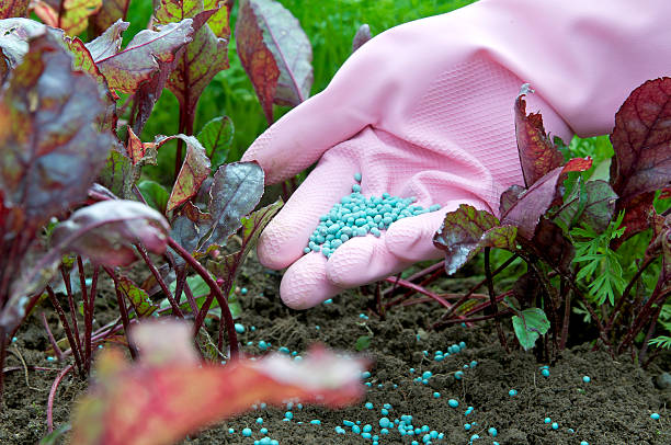 Top 9 Fertilizers Suppliers in Sri Lanka in August 2025: Urgent Market Update Amid Policy Shifts and Supply Chain Reforms