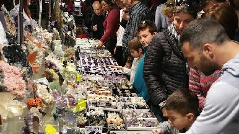 Discover SALON MINÉRAUX, FOSSILES ET MÉTÉORITES: B2B Event Guide - 2