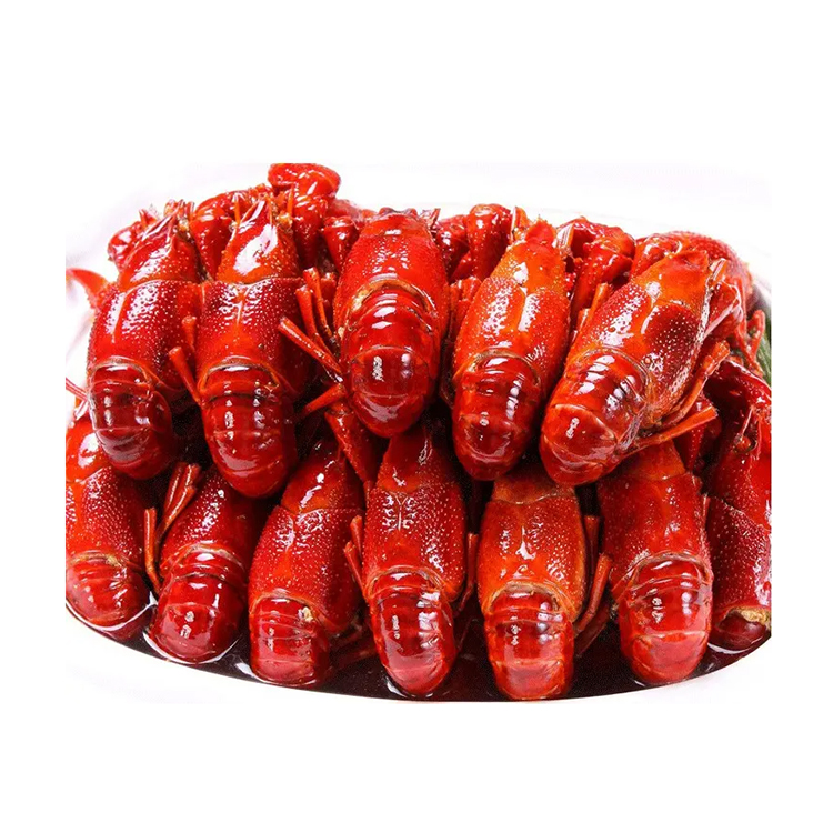 Competitive Price SPINY LOBSTER/ FROZEN RAW LOBSTER Export Standard