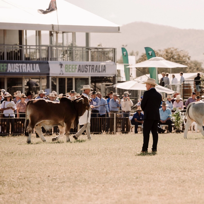 Unlock BEEF AUSTRALIA: Must-Know B2B Event - 3