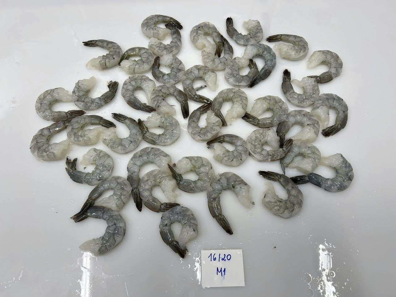 Vannamie PTO Cooked Shrimp