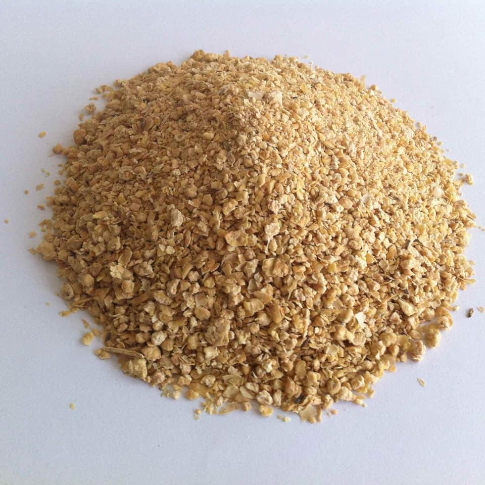 Non-GMO Soybeans Image 1