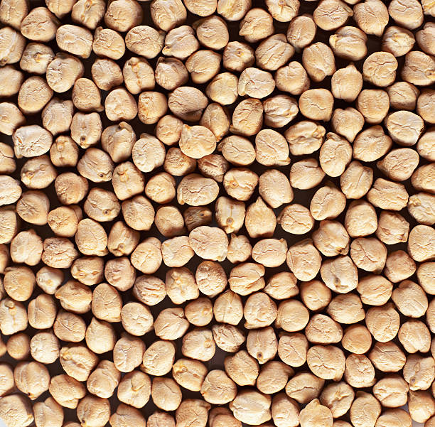 A Comprehensive Guide to Sourcing High-Quality Chickpeas: Top 6 Chickpeas Suppliers in Germany in Quarter 2 of 2025