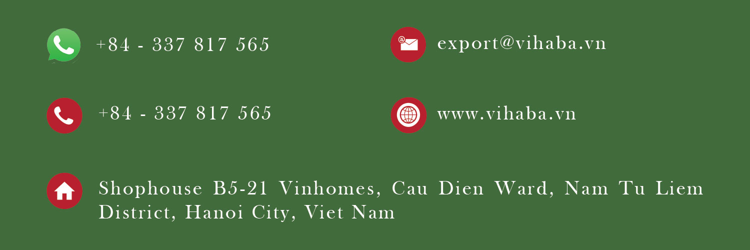 Coffee Wholesale Coffe Floured Coffee Bean Private Label Healthy Drink Green Coffee Bean