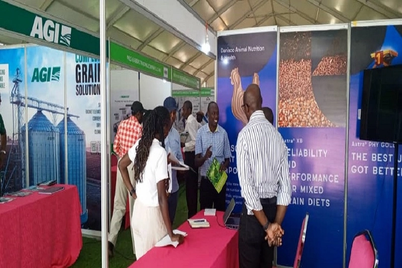 GRAINS AFRICA - TANZANIA Revealed: B2B Opportunity - 1