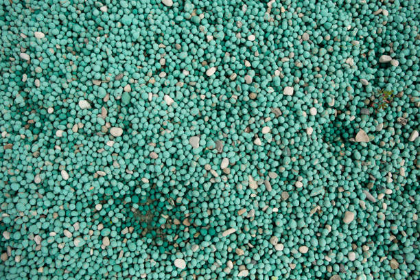 Your Expert Guide to Procuring Top-Tier Fertilizer: Top 3 Fertilizer Suppliers in Thailand in Year 2025