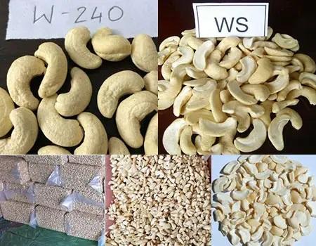 High Quality Vietnamese Cashew Nut