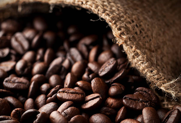 Top 5 Coffee Bean Suppliers in Brazil in Week 06 of 2025: Market Trends, Data & Export Insights