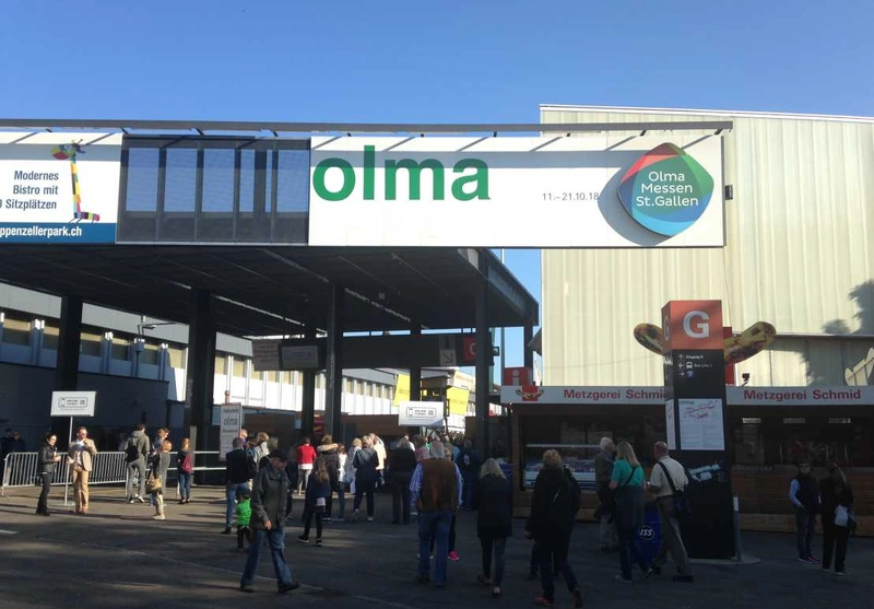 OLMA Spotlight: B2B Essentials - 3