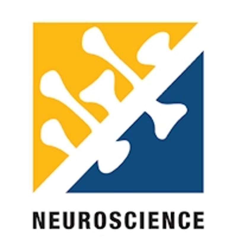 Why Neuroscience Matters for B2B