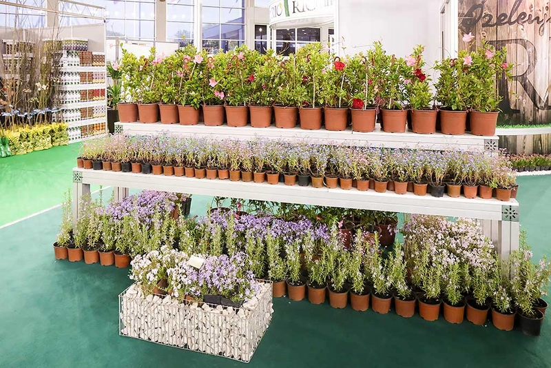 International Horticulture Fair - Beoplantfair Revealed: B2B Opportunity - 2