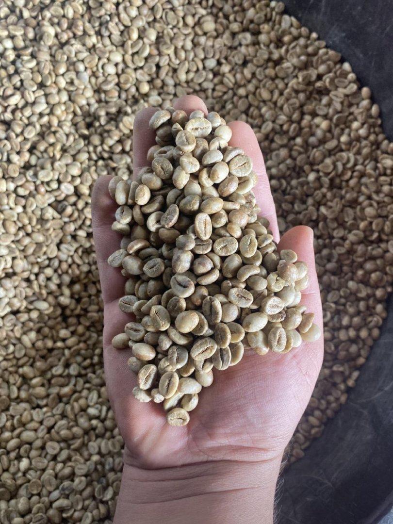 Robusta Green Coffee Bean Indonesia Origin