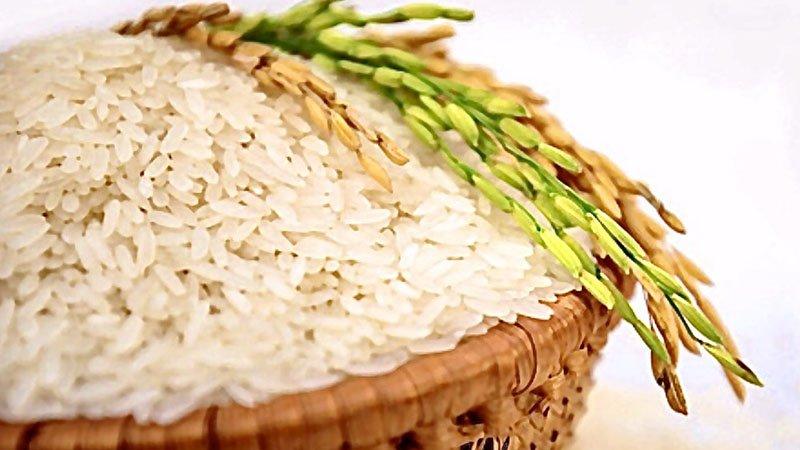 Premium Vietnamese Jasmine Rice – Long Grain Export Quality