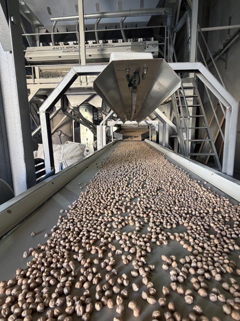 Chickpeas Features Gluten-Free, Organic