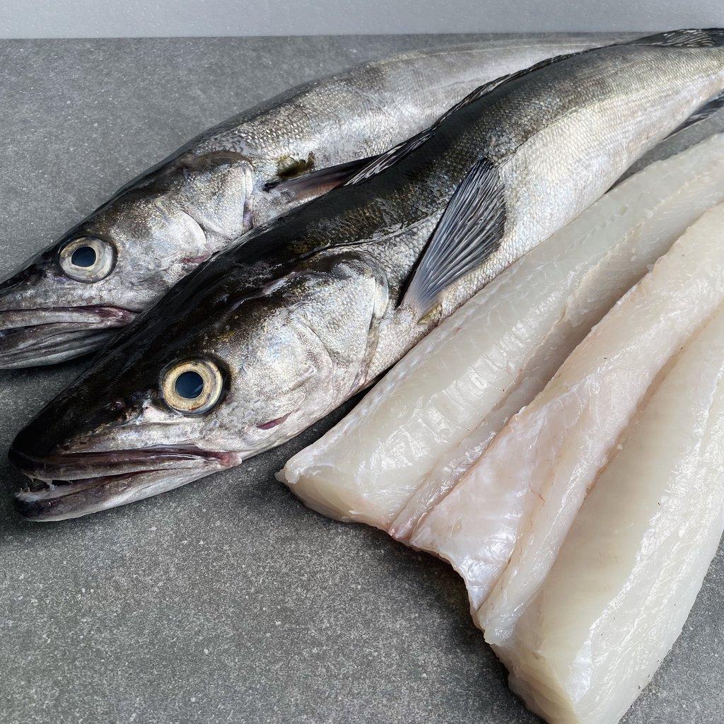 Fresh Hake Carefully Sorted Seafood Delivering Uniform Size Excellent Fresh Condition And Reliable Supply