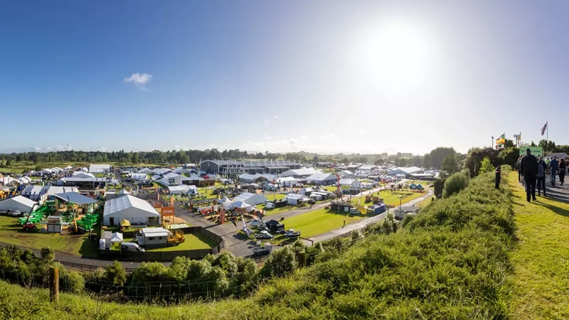 Inside FIELDDAYS: B2B Key Insights - 2