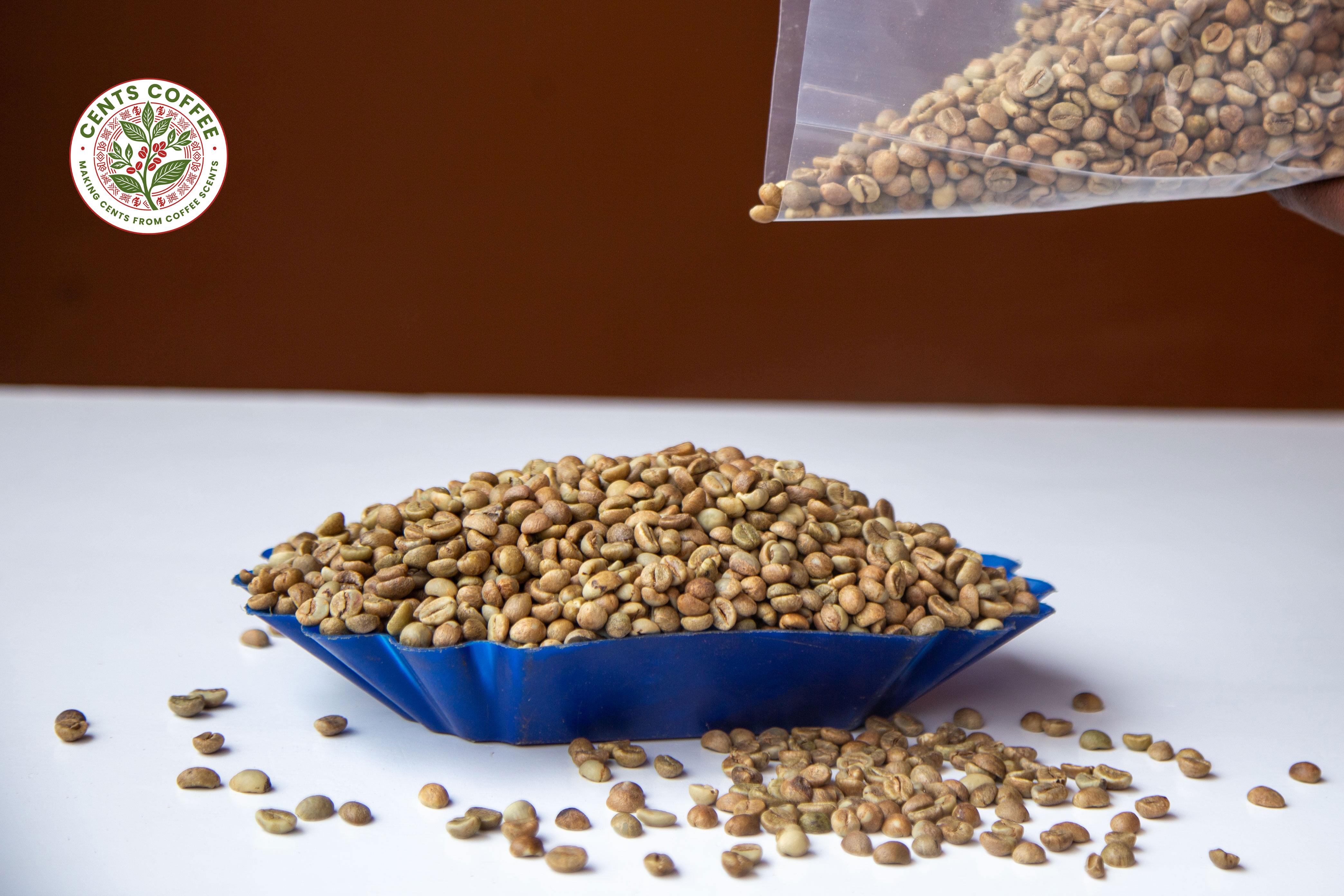 ROBUSTA AND ARABICA COFFEE BEANS Organic No Decaffeinated No Degree of Processing Raw Bean Type Arabica, Robusta