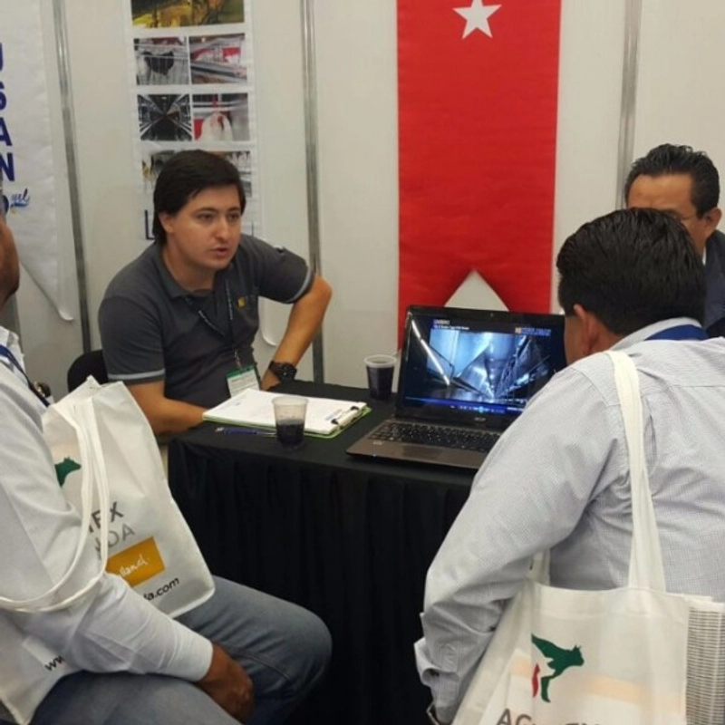 FIGAP Mexico Spotlight: B2B Essentials - 2