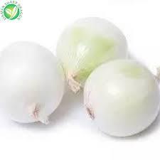Frozen Onion Image 1