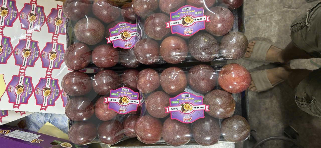 Meet the Top 5 Fresh Fruits suppliers in Vietnam