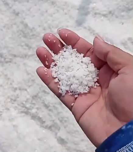 SEA SALT FOR INDUSTRY