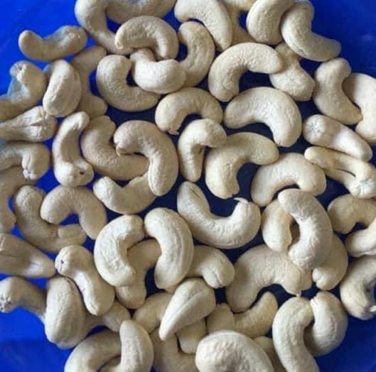 Cashew Nut Image 1