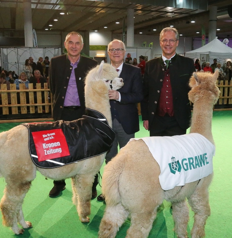 World Alpaca Expo and Conference Spotlight: B2B Essentials - 3